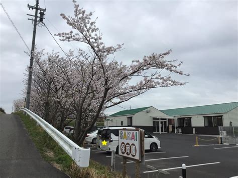sakai dli|welcome to my sakai.